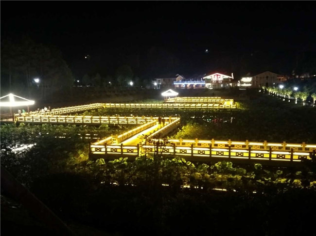 保靖荷花池夜景